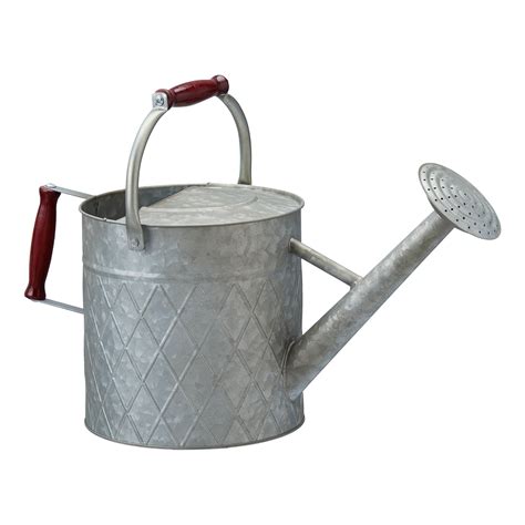 metal watering cans near me